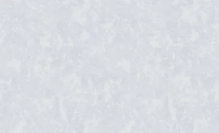 Купить Обои Erismann Виниловые на флизелиновой основе