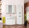 Купить Шкаф-зеркало Бриз шнз22-105 Бриз во Владивостоке