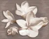 П Амати Плюмерия алба 50,5*40,2 (Азори, 2шт.) 584192003 в городе Владивосток